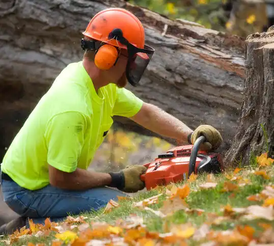 tree services Water Mill